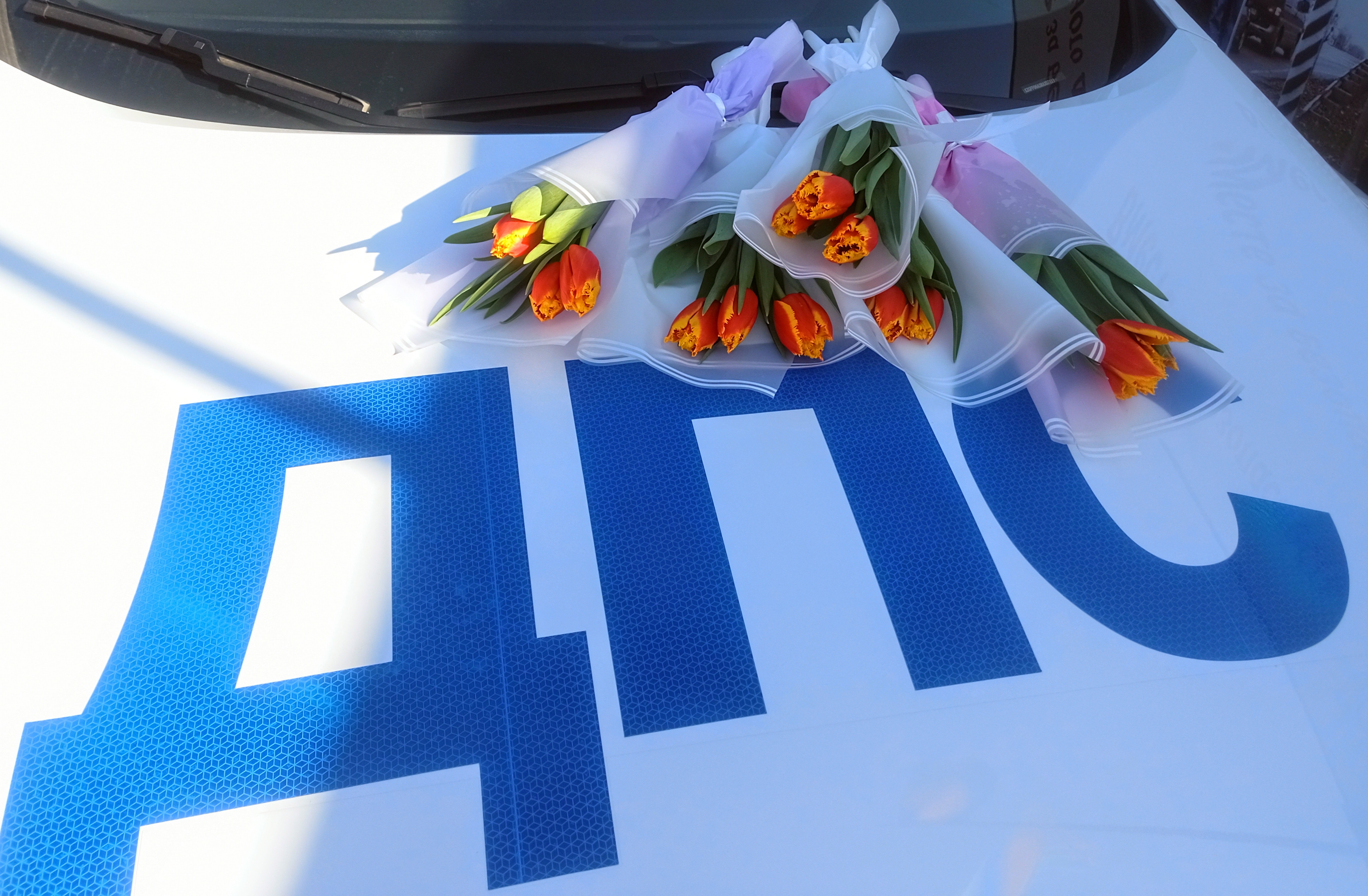 💐Цветы для автоледи