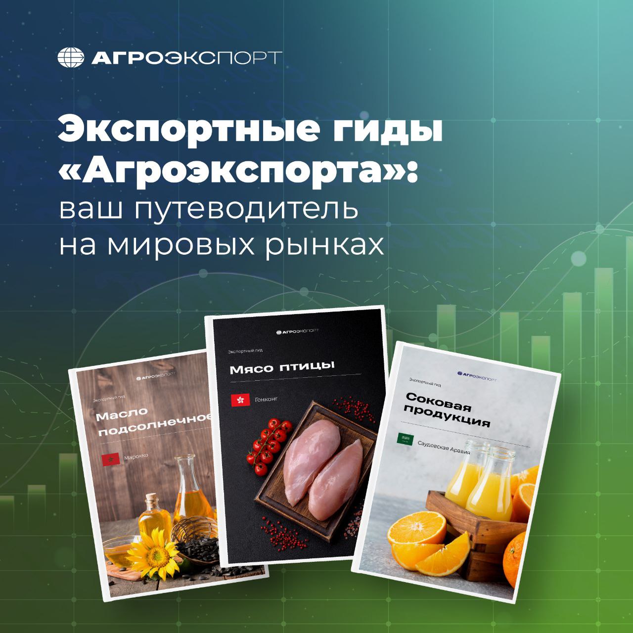 Экспортные гиды «Агроэкспорта»: ваш путеводитель на мировых рынках