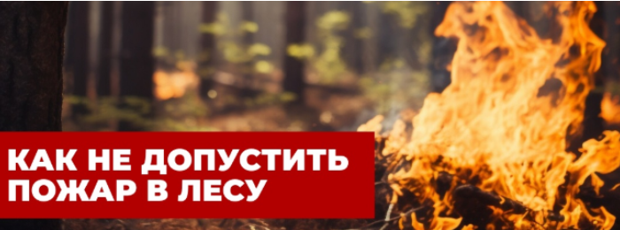 Каждый год в результате лесных пожаров погибает множество животных, страдают люди, а также исчезают сотни гектаров леса.