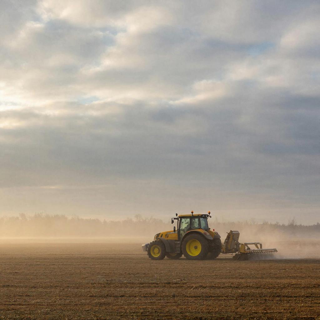 Обработка полей