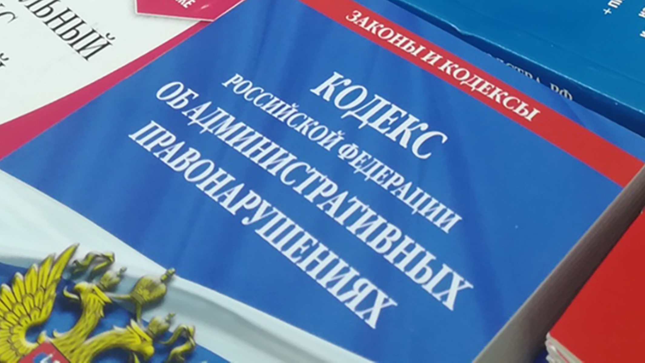Ответственности за нарушения общественного порядка и выборного законодательства