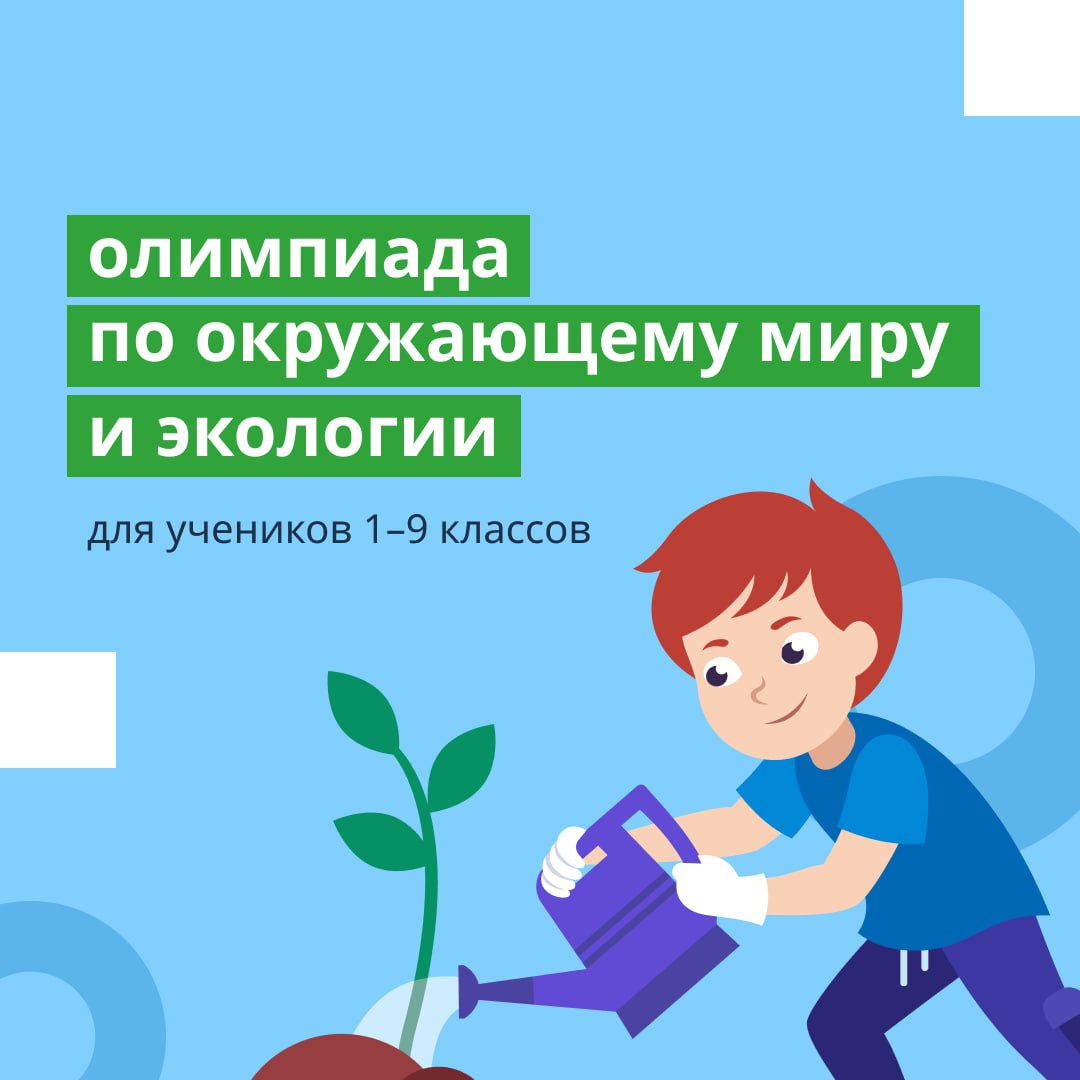 Школьники из всех регионов улучшат экологические знания благодаря нацпроекту «Экология»