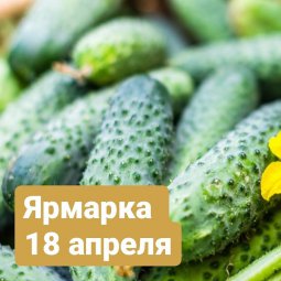 Сегодня, 18 апреля, в Крымске на улице Ленина откроется ярмарка