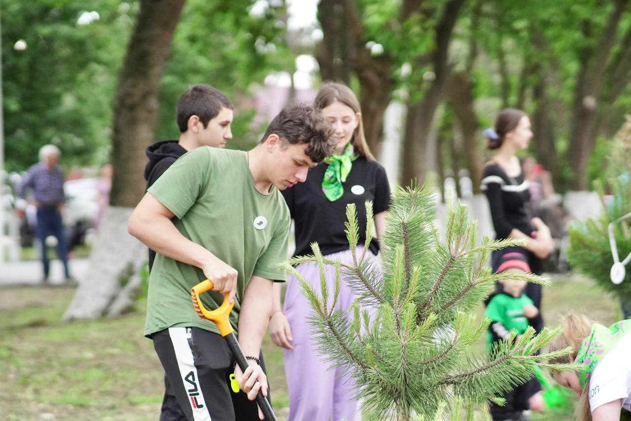 «Сад Памяти»