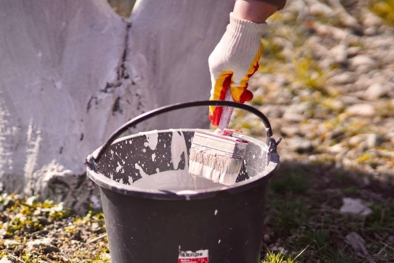 Все на субботник!