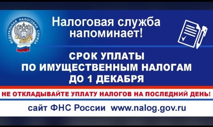 Напоминаем о том, как заплатить имущественные налоги за ребенка