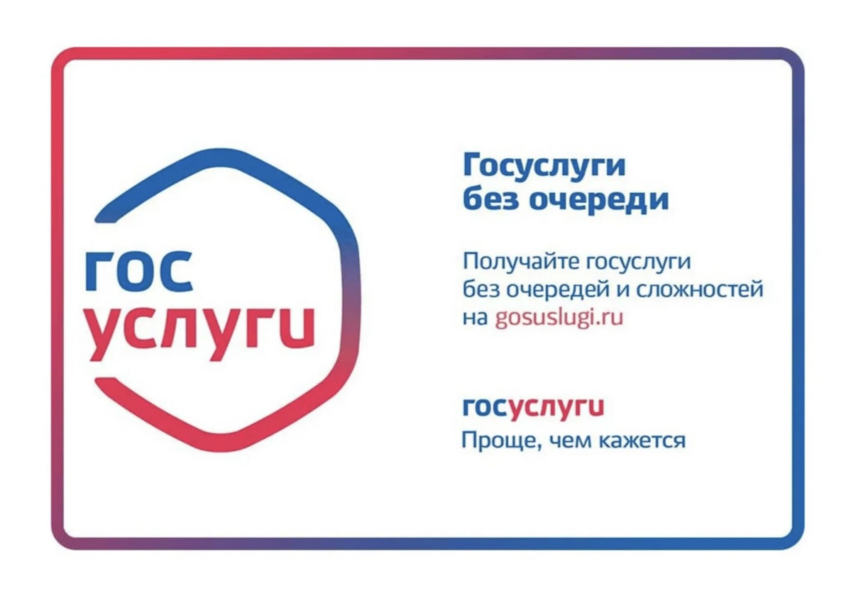 Сотрудники полиции провели мастер-класс "Госуслуги - это просто"