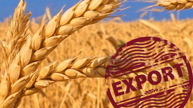 Расширение государственной поддержки экспортеров продукции АПК