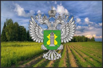 Государственный земельный надзор в отношении земель сельскохозяйственного назначения