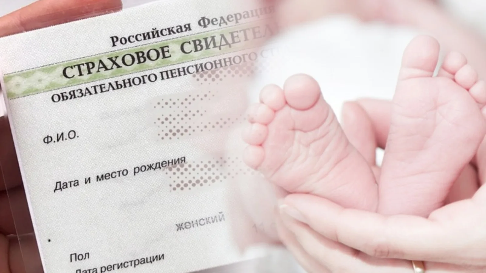 С начала года Отделение Социального фонда России по Краснодарскому краю проактивно открыло 29 тысяч СНИЛС новорожденным