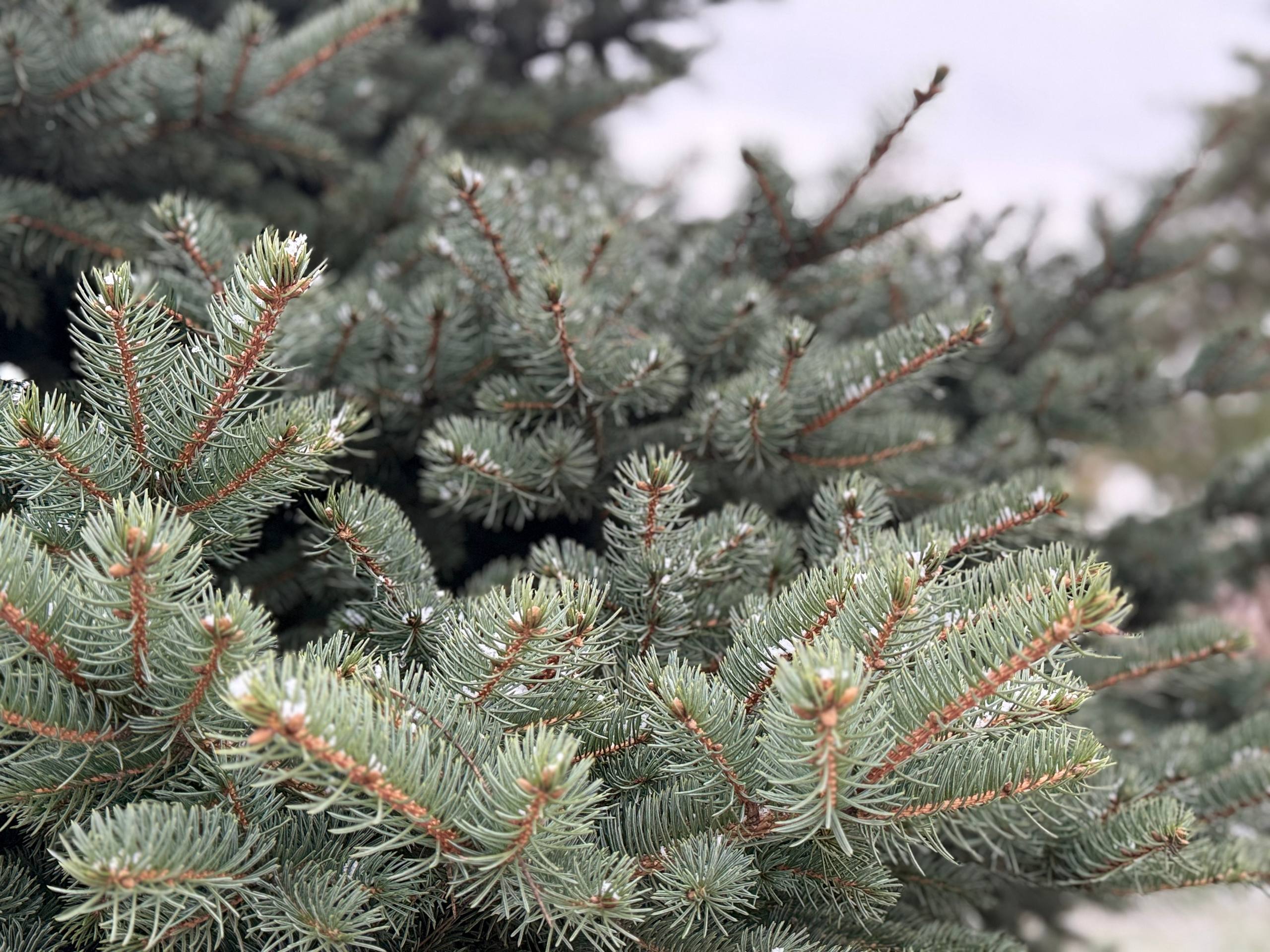 ⚠️ Ухудшение погодных условий 