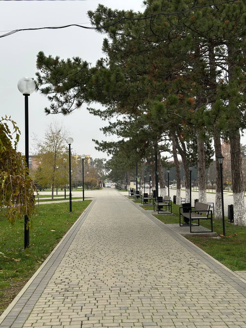 ⚠️ Сильный дождь 