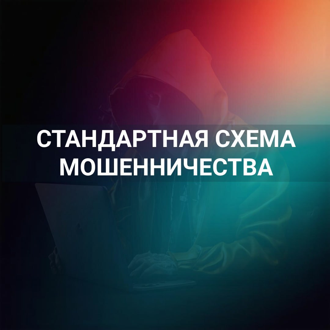 Совместно с Сенатором РФ Артемом Шейкиным  подготовили инфографику, раскрывающую суть самых распространенных мошеннических тактик.