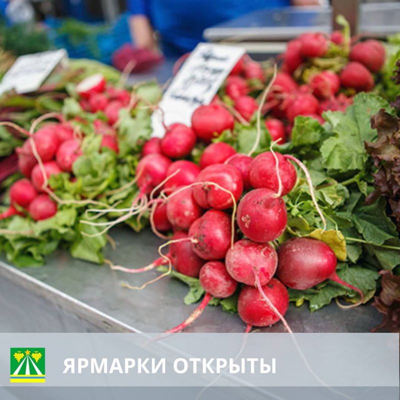 Ярмарки в Крымском районе