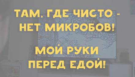 Там, где чисто - нет микробов!