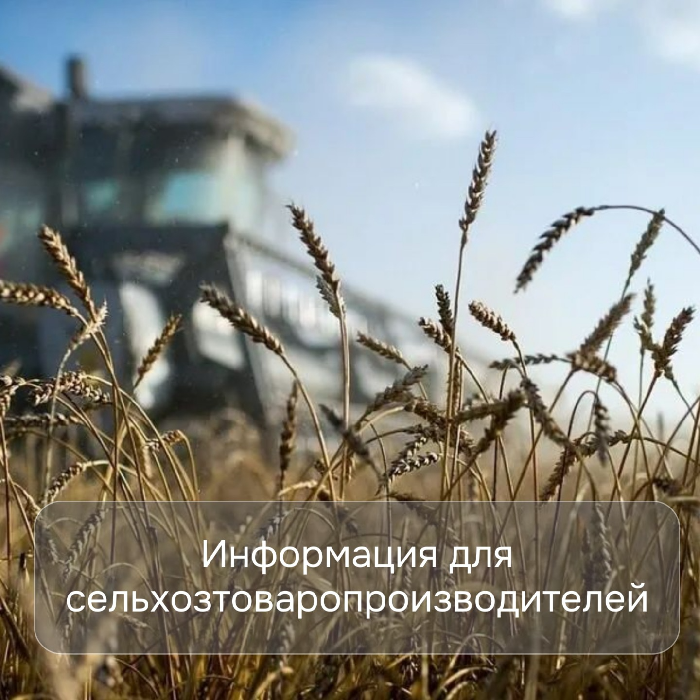  Уважаемые сельхозтоваропроизводители!