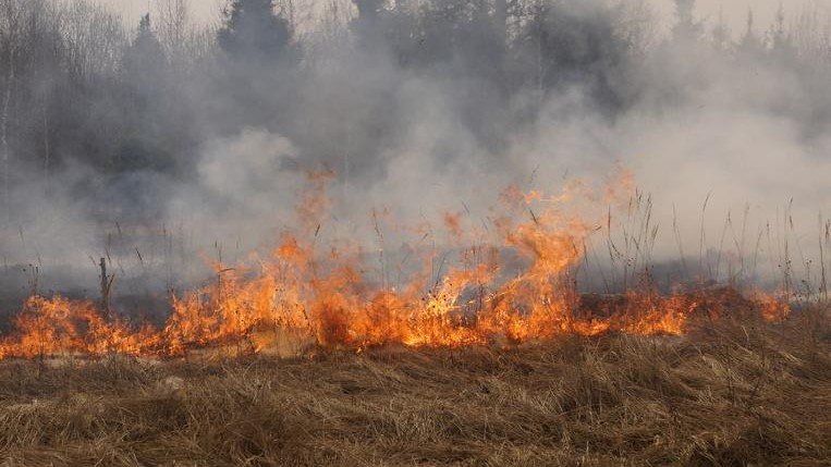 26-28 августа прогнозируется пожароопасность