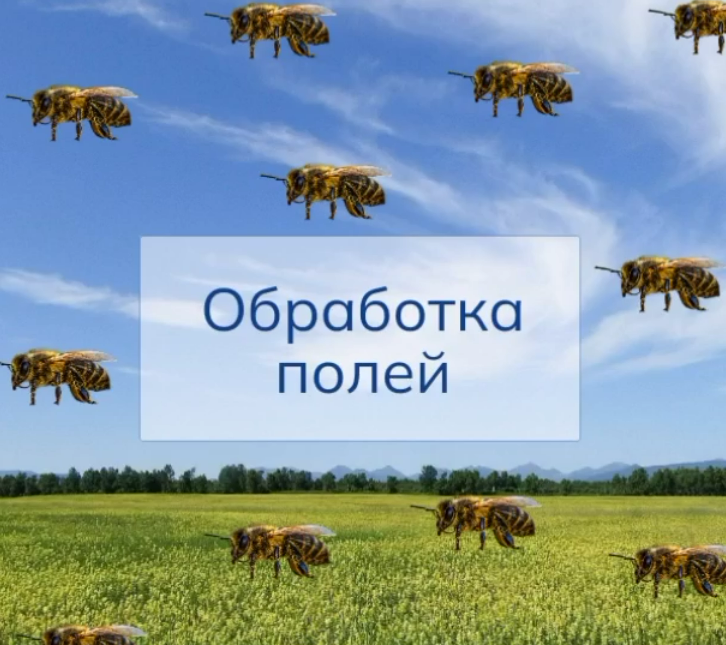 Обработка полей