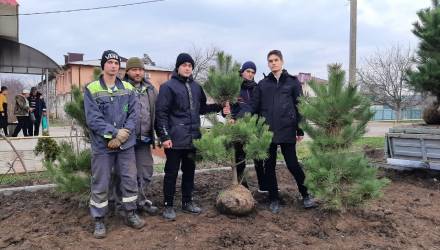 Всероссийская акции по восстановлению лесов "Сохраним лес"