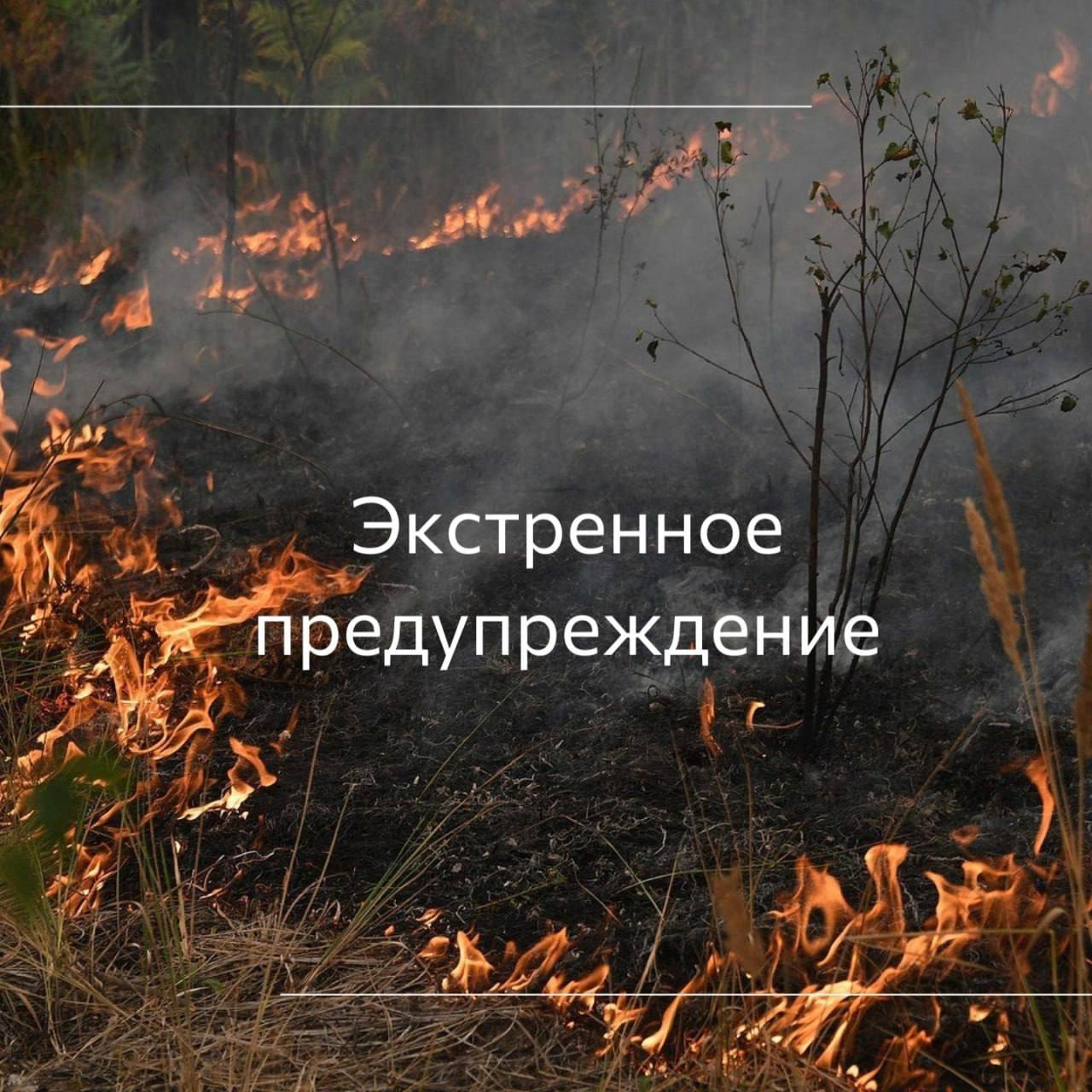 Экстренное предупреждение 