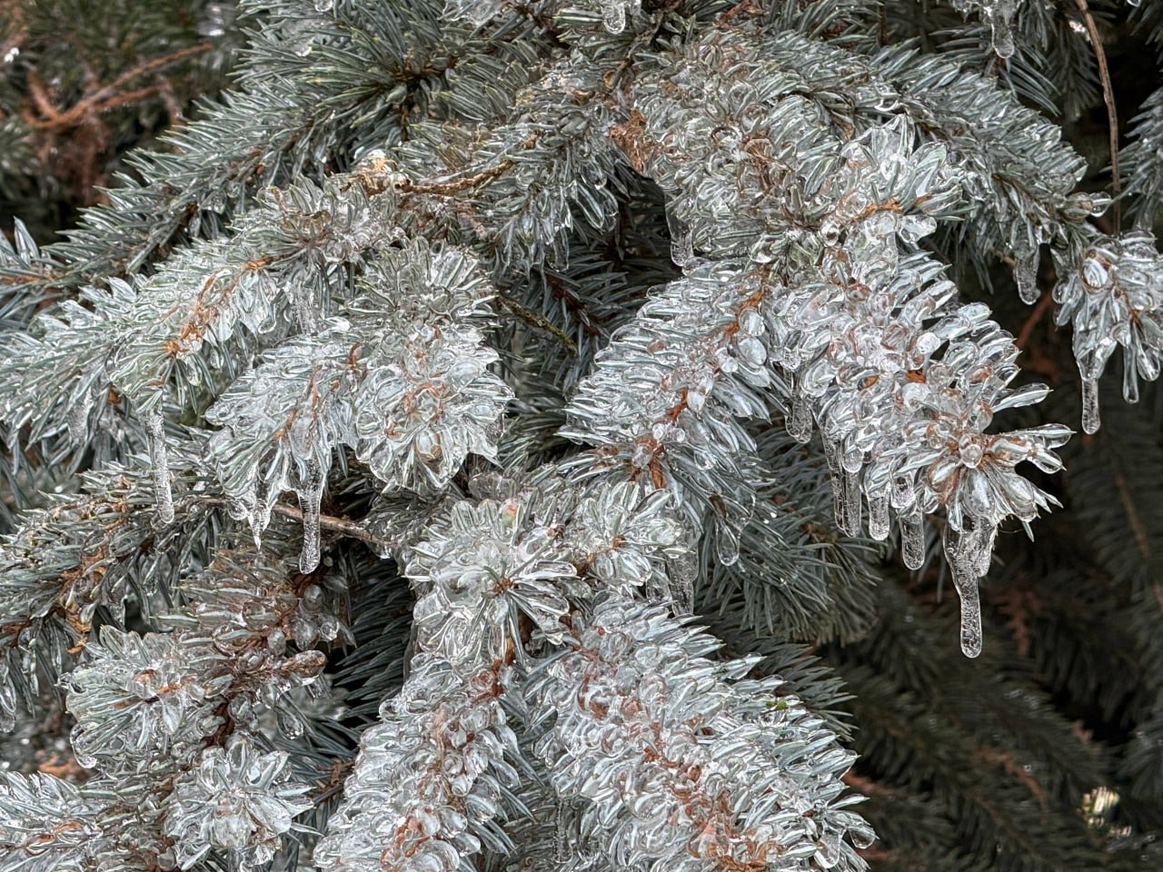 ⚠️ Ухудшение погодных условий 