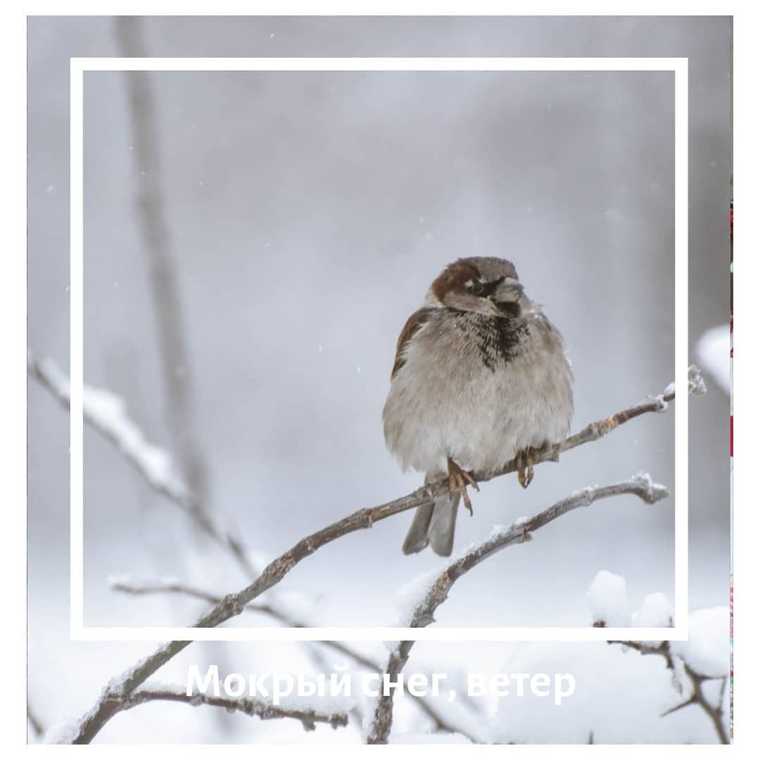 Об ухудшении погодных условий