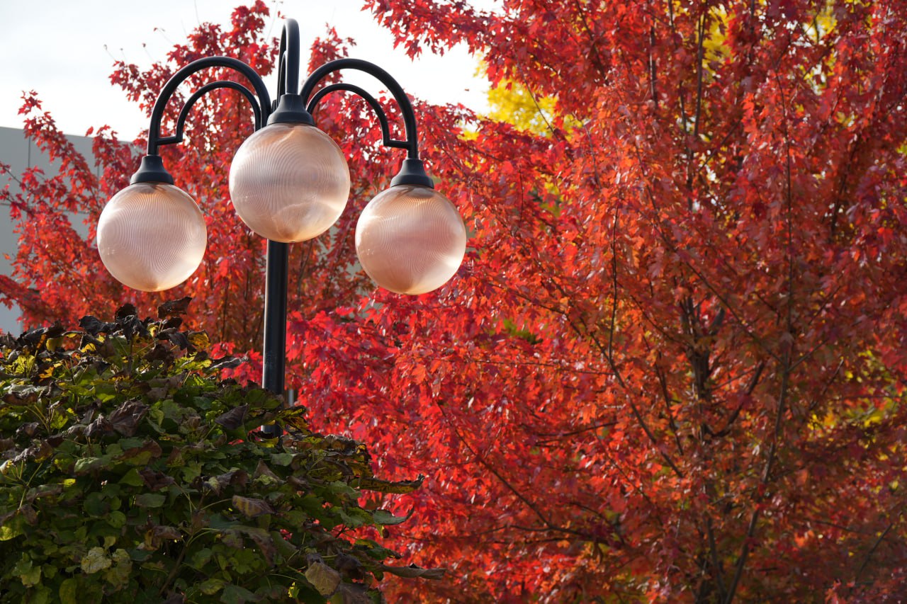 ⚠️ Сильный дождь 