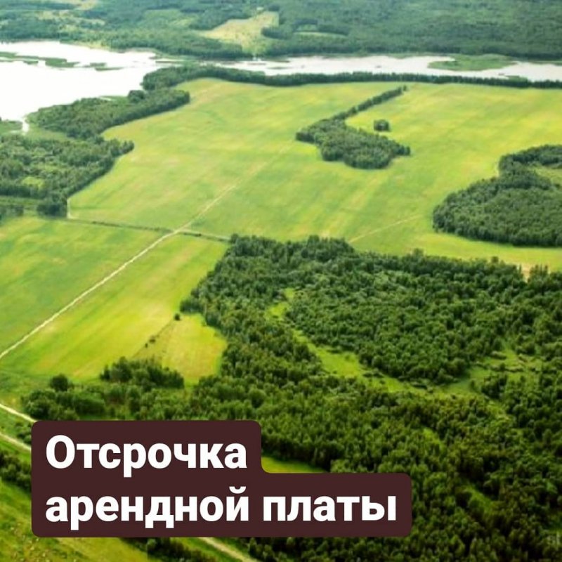 Утвержден порядок предоставления отсрочки арендной платы для бизнеса