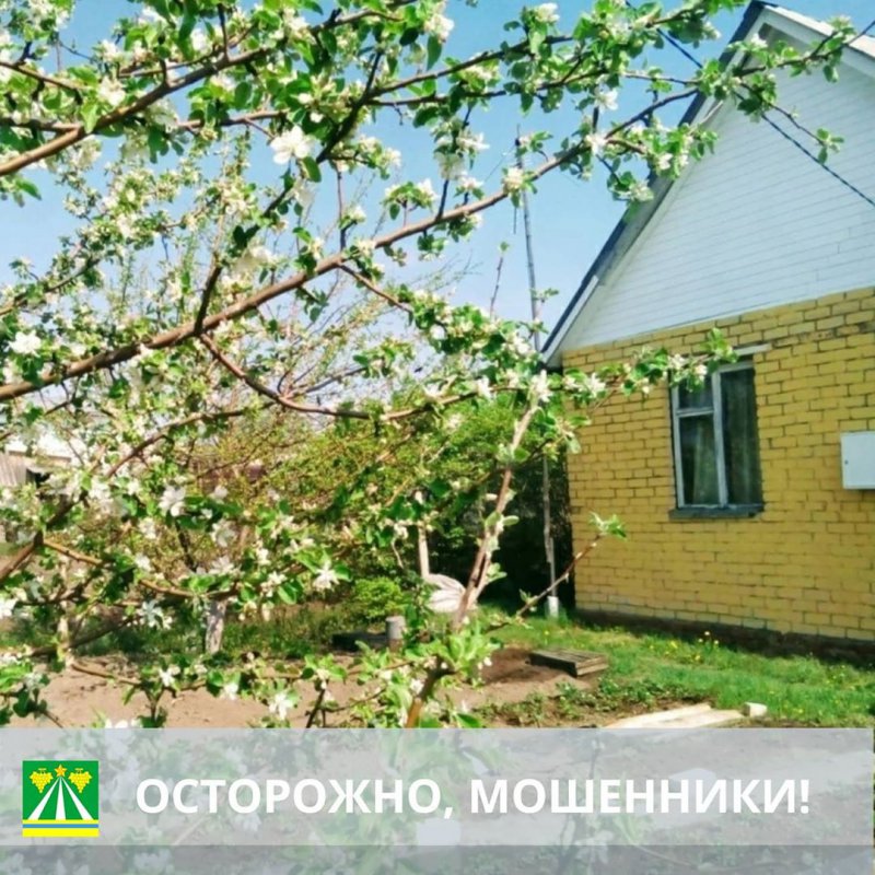 Осторожно, мошенники!